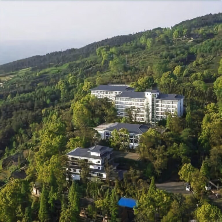 Чунцин: China Tea Mansion
