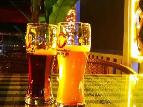Харбин: Airport Hotel