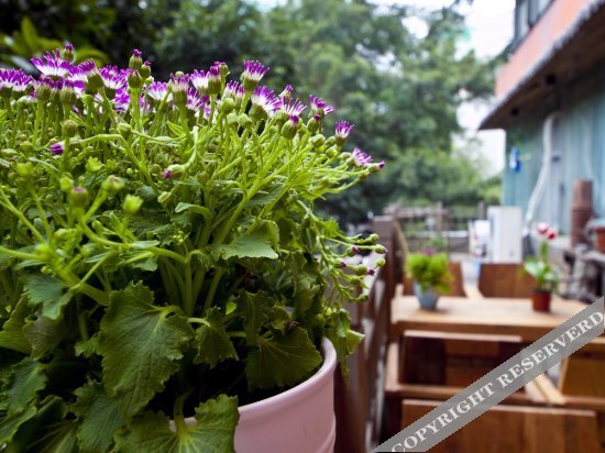 Фучжоу: City Citizen Zoom Youth Hostel