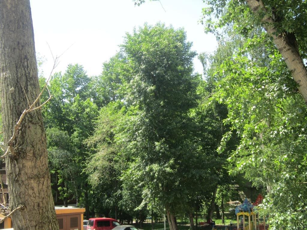 Москва: Double Plus Hostel Novoslobodskaya