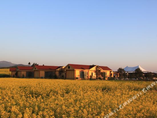 Цюйцзин: Luoping Flying Camp