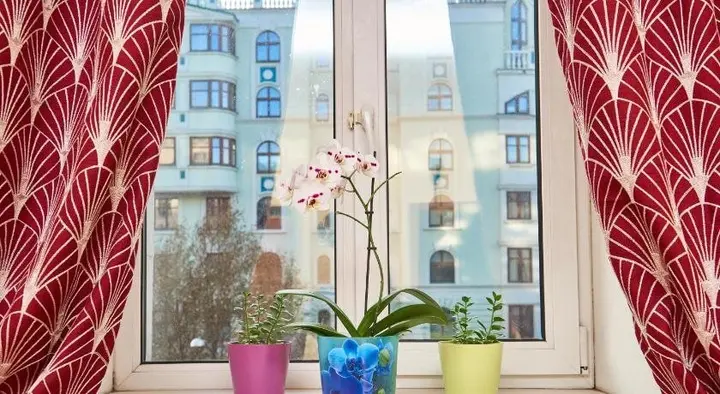 Москва: Hotel Sad