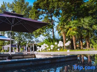Чжэнчжоу: Jiangnanchun Hot Spring Resort Hotel