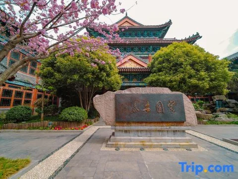 Цзаочжуан: Zhengshengyuan Hotel