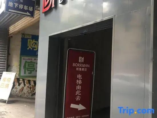 Зигонг: Borrman Hotel Zigong Tanmulin Caideng Park