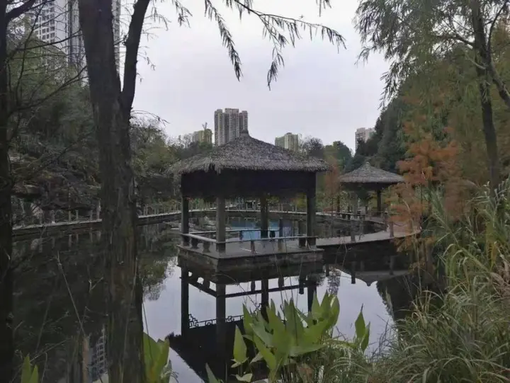 Чунцин: Manzhou International Hotel (Fushun Avenue)