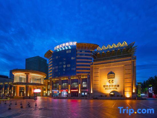 Ордос: Erdous Hotel Ordos