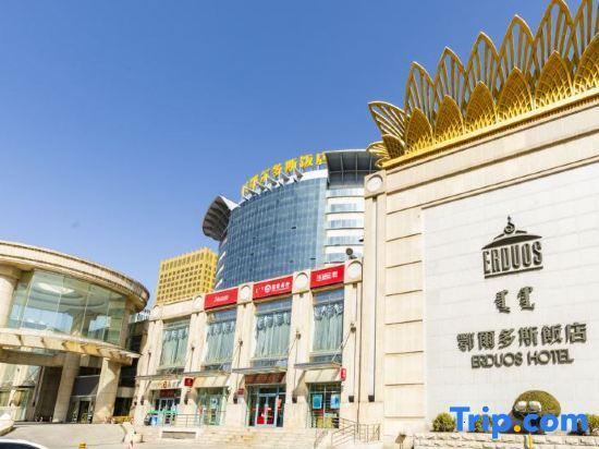 Ордос: Erdous Hotel Ordos