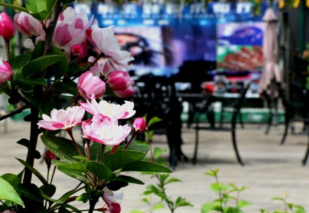 Иньчуань: Xi'An Garden Hotel