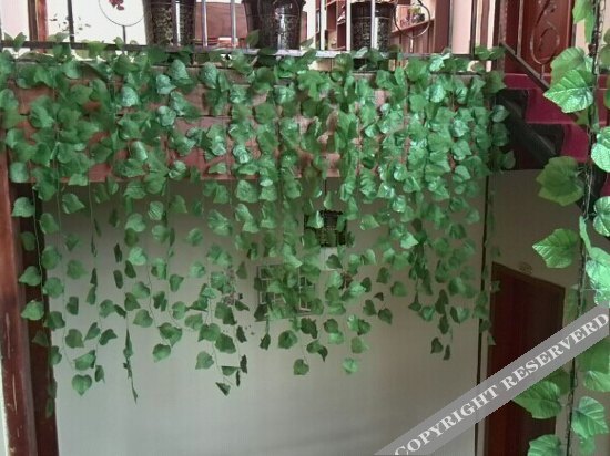 Шангри-Ла: Tianyu Yuanju Boutique Inn