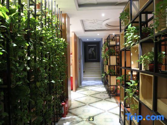 Кайфын: Buttonwood Fashion Hotel
