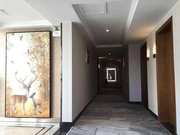Lizhi Holiday Hotel — фото 5