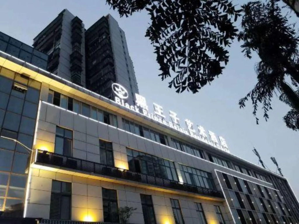 Лучжоу: Black Prince Art Hotel (Luzhou Longmatan District Government Store)