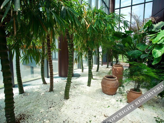 Шанграо: Taijitai Hotel, Wuyuan