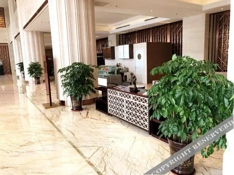Паниин: Xinyu Baoli Hotel