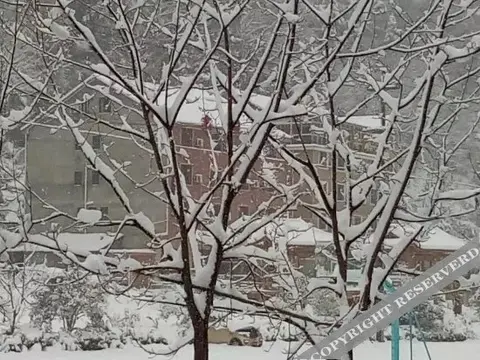 Ханчжоу: Xinyawan