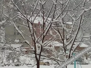 Ханчжоу: Xinyawan