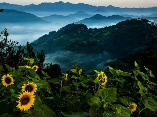Хуаншань: Atour Hotel (Huangshan Ancient Street, Xin'an Riverside)