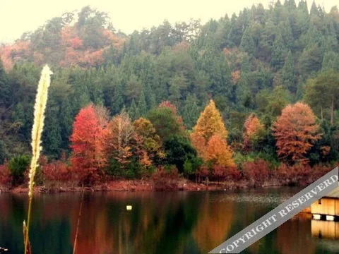 Ханчжоу: Qiaodaohu Wanghu Resort