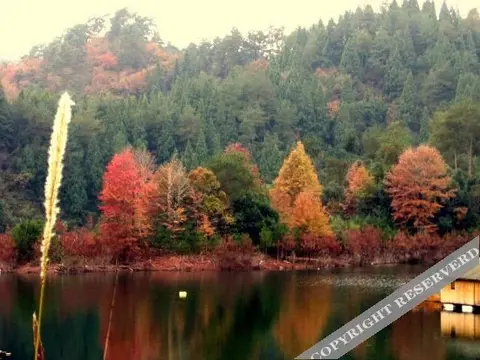 Ханчжоу: Qiaodaohu Wanghu Resort