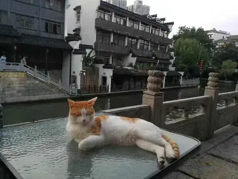 Нанкин: Orange Hotel (Nanjing Confucius Temple Cruise Terminal)