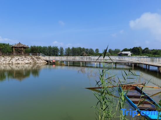 Ухань: Dragon Bay Peninsula Resort Liangzi Lake Wuhan