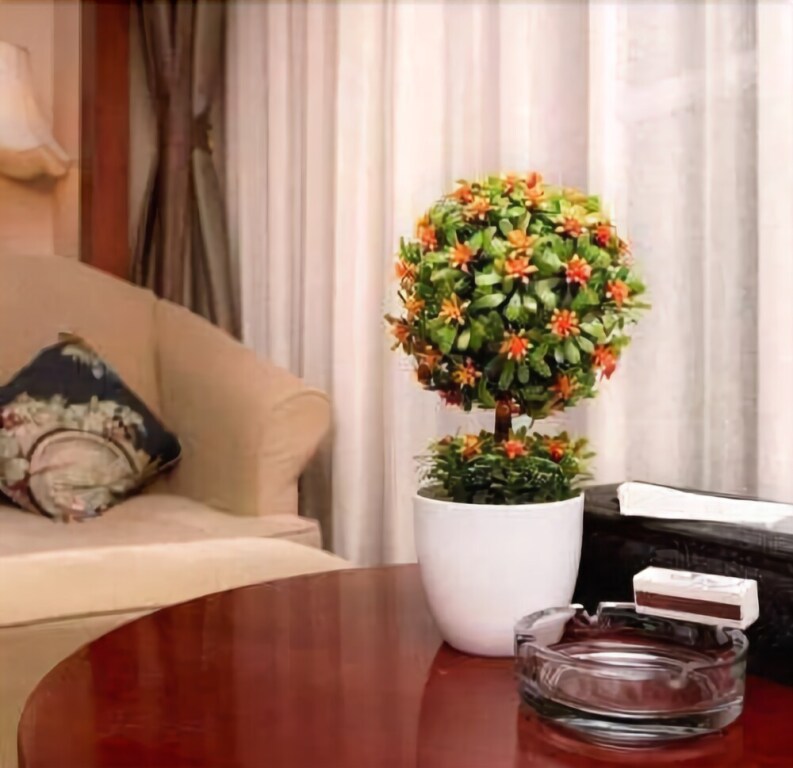 Хух-Хото: Hai Jing International Hotel