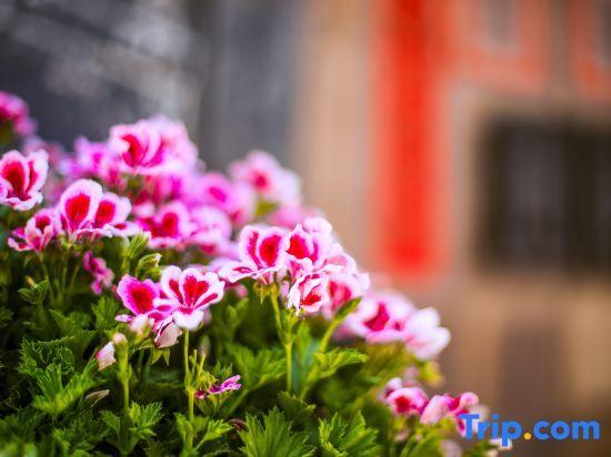 Лицзян: TaiShidi Think House garden
