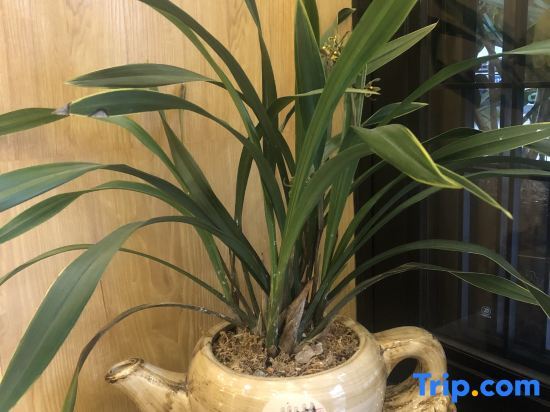 Хэнъян: Hengyang Hengyue residence·Homestay (Nanyue Damiao Branch)