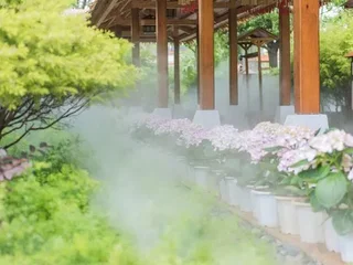Юйси: Hui Long Hot Spring Manor