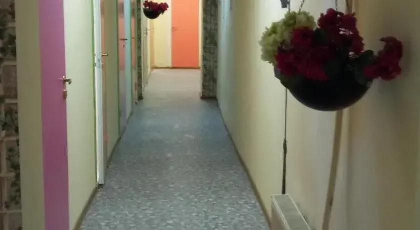 Санкт-Петербург: Hostel Green House