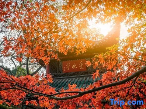 Чанша: Shuntian Hotel (Yuntang Campus Branch of Changsha University of Science and Technology)