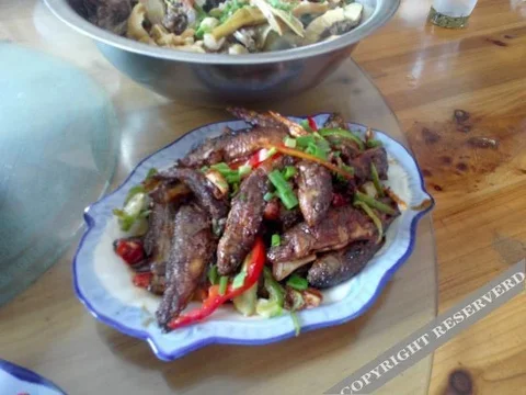 Ханчжоу: Tianxia Yijia Farmhouse