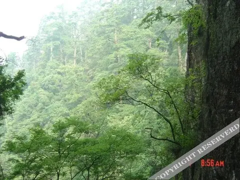 Ханчжоу: Tianxia Yijia Farmhouse