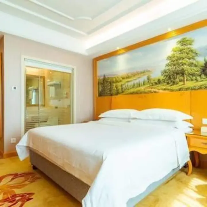 Чанша: Vienna International Hotel Changsha Lu Gu Branch