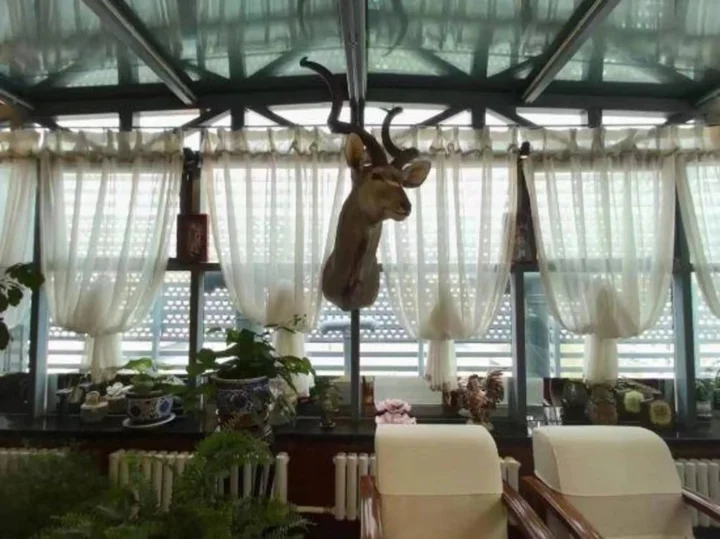 Харбин: Harbin Sikaiwo Business Hotel