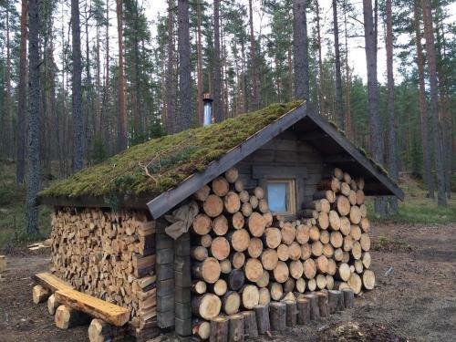 Эко-Отель Лес — фото 6