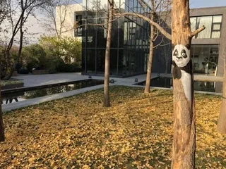 Пекин: Beijing Yutang inn