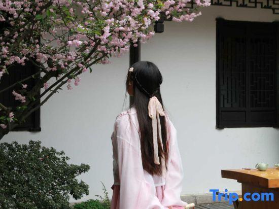 Шанхай: Zhenfengxuan Holiday Courtyard