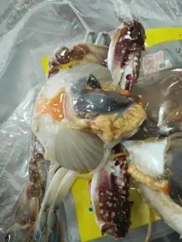 Чжоушань: 朱家尖博茨渔家客栈
