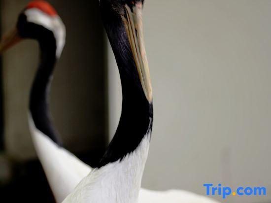 Тайчжоу: Tiantai Hot Spring Resort