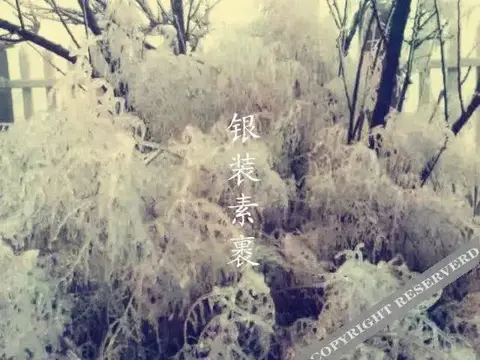 Ханчжоу: Yingbin Manor