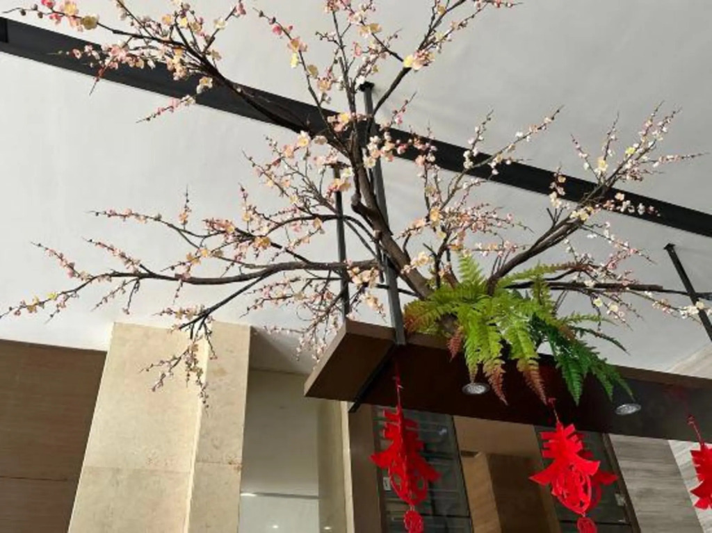 Чанша: Rhine Jasmine Holiday Hotel Liuyang