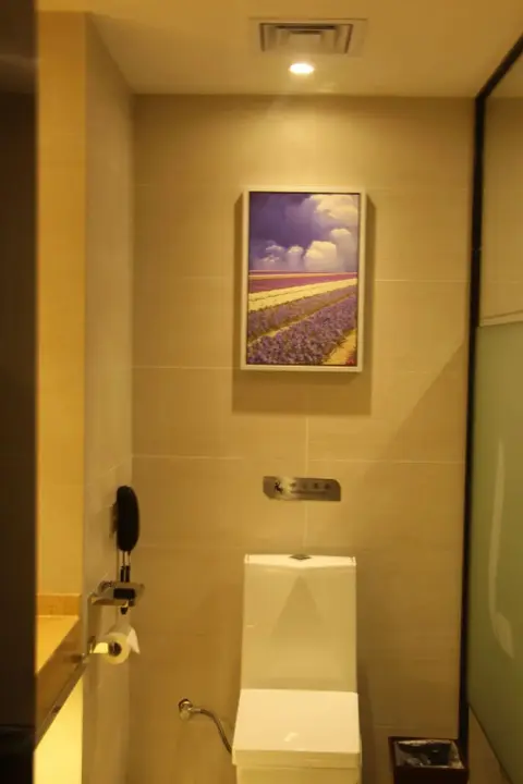 Гуанчжоу: Lavande Hotel Science City Lianhe Branch
