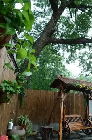 Ханчжоу: Xuanzhe TeaHouse Inn