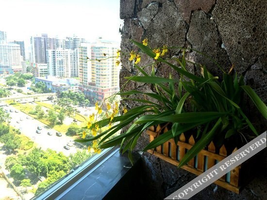 Хайкоу: Coconut Dream Hotel