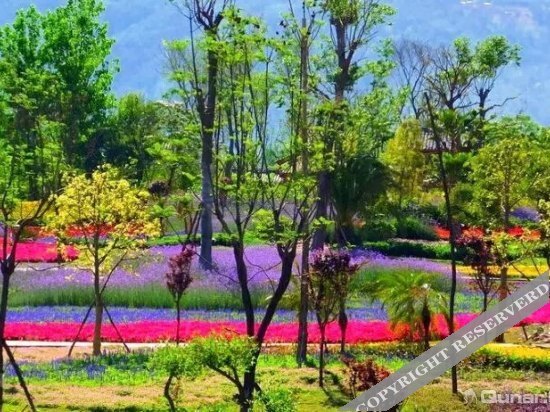 Сичан: Xichang of Sichuan Purple Neem Inn