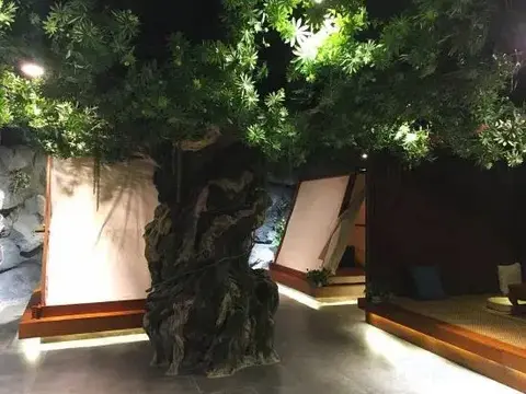Телин: Tian Xing Hotel
