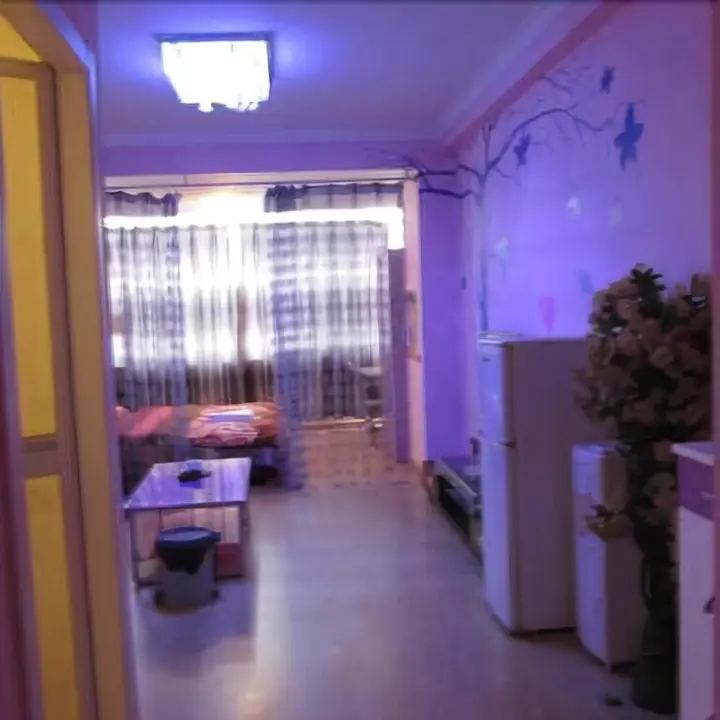 Яньчэн: Hanting Hotel