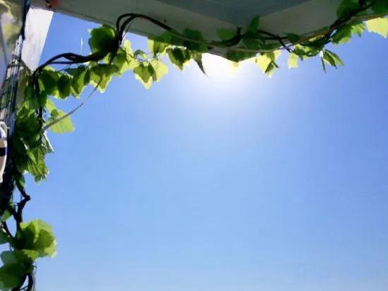 Санья: Sanya Golden Bay Youth Hostel (Phoenix Island)